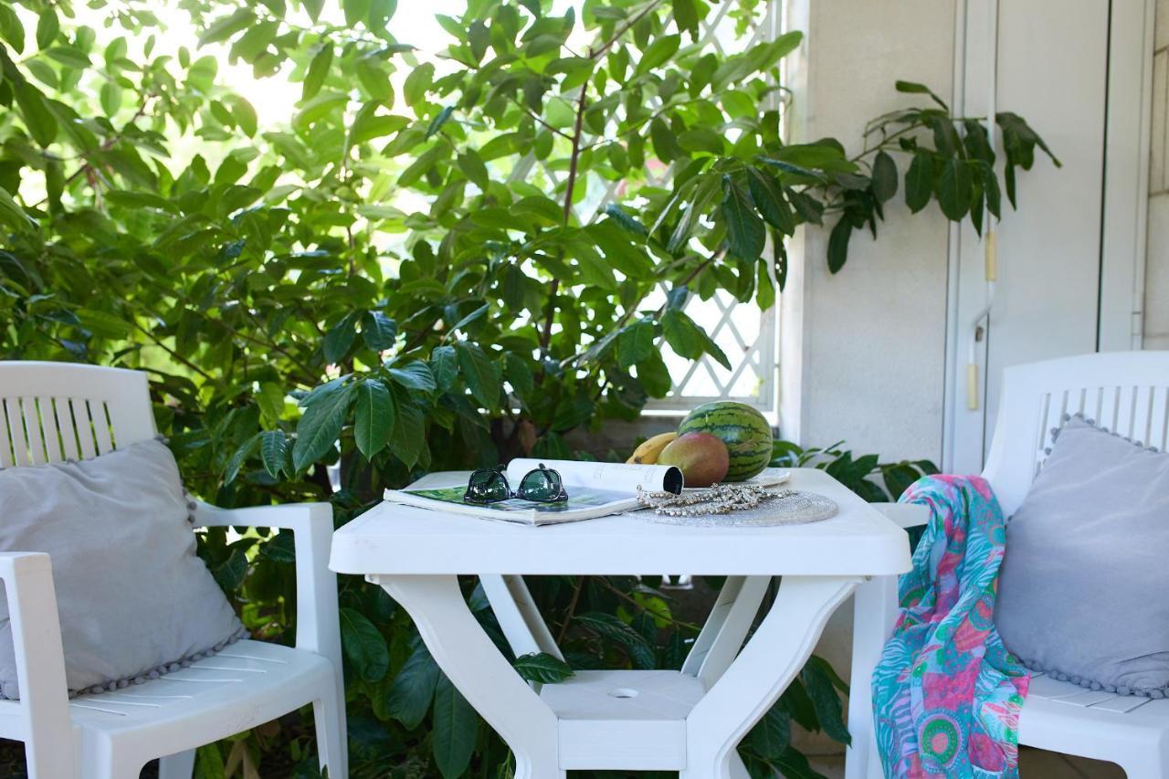 Hedera Estate, Hedera Studio 6 دوبروفينك المظهر الخارجي الصورة
